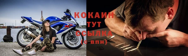 a pvp Аркадак